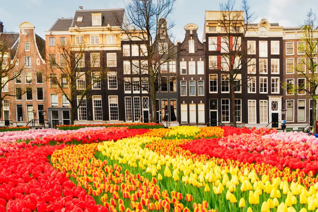 Amsterdam et ses attractions pour les jeunes