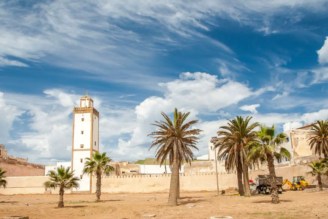 Anchois Marinés à Essaouira