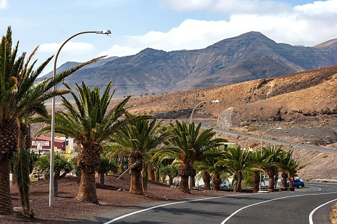 Des-Vacances-Inoubliables-à-Fuerteventura-en-Février.jpg