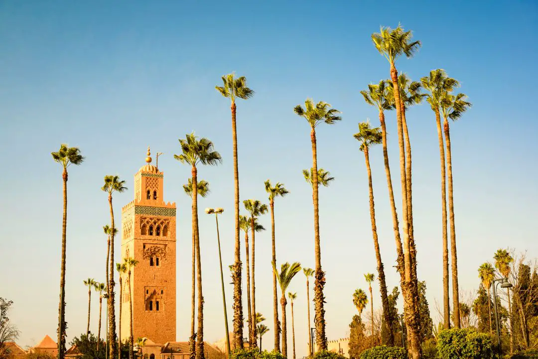 La culture de Marrakech