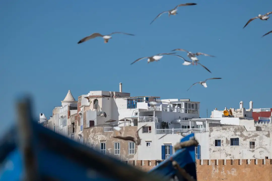 Le charme de l'automne à Essaouira 