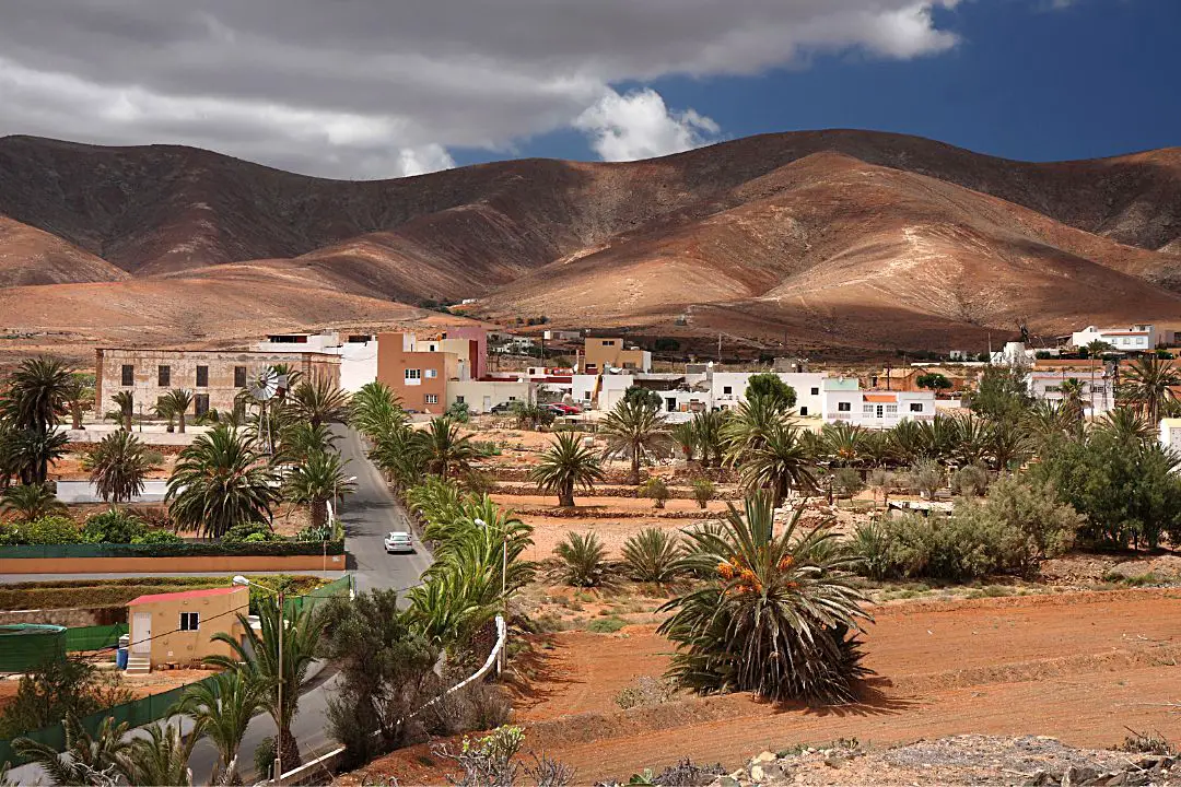 Les chèvres à Fuerteventura - Un aperçu d'un monde sauvage