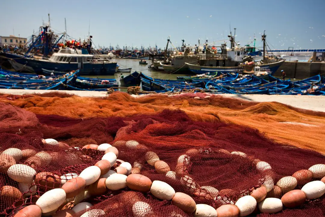 Les couleurs de la culture d'Essaouira
