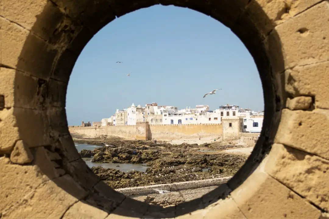 Merlu à Essaouira