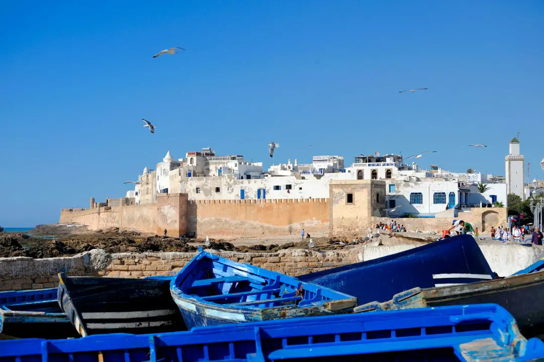 Thon Mariné à Essaouira
