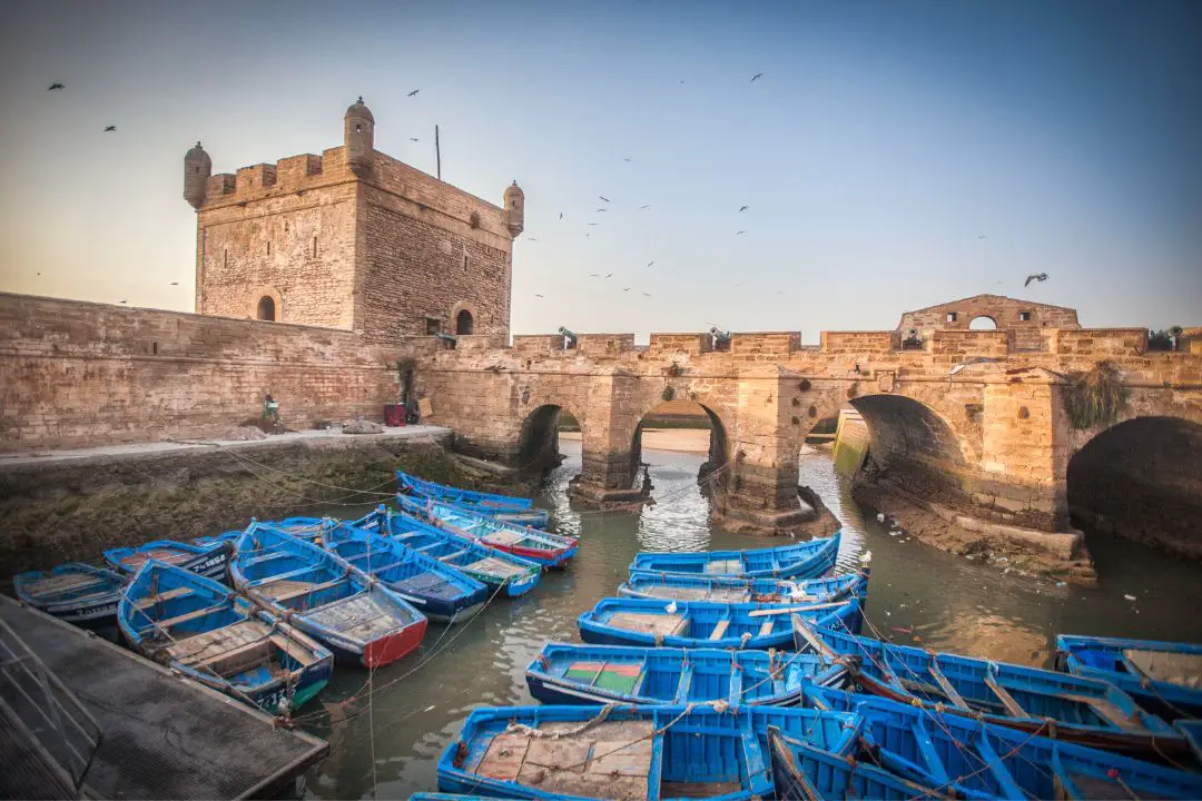 Traversez le port d'Essaouira