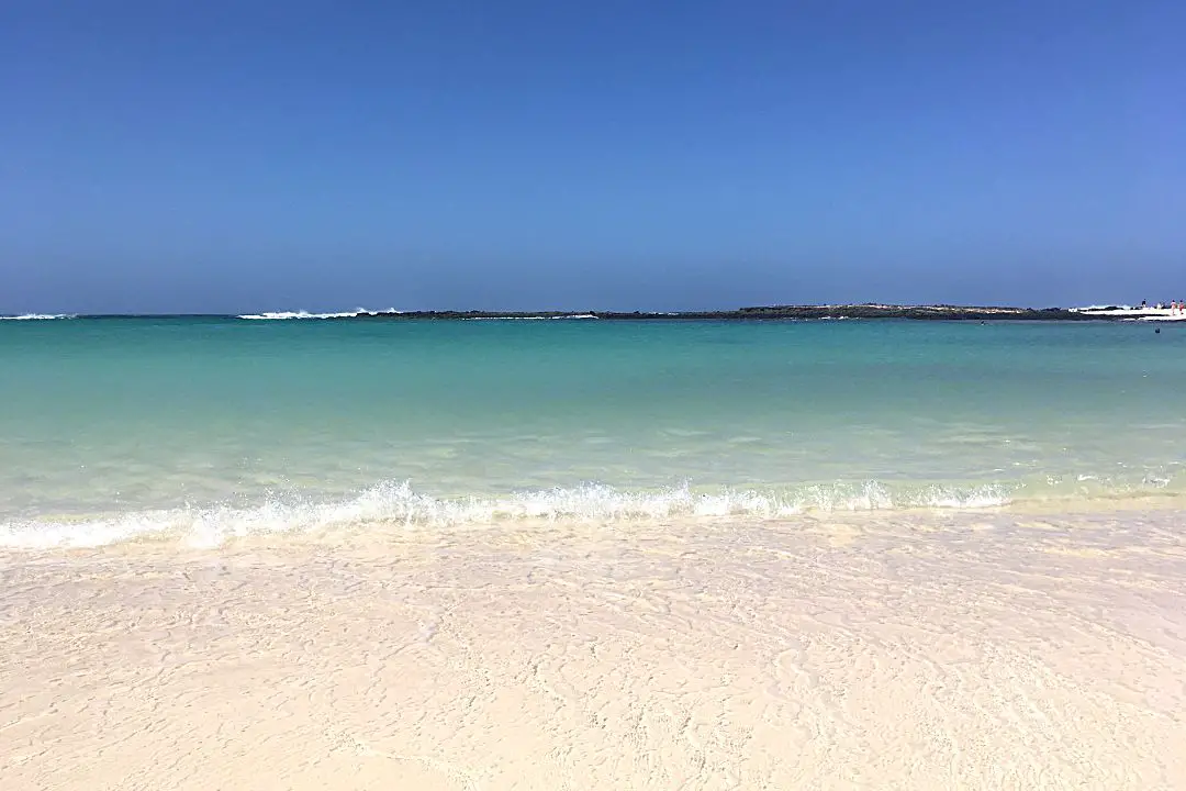 Une île au soleil : Fuerteventura